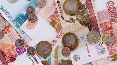 Более 230 льготных займов получил местный бизнес от МКК «Фонд развития Приморского края» в 2020 году